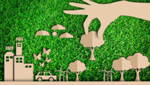 Investing in sustainability