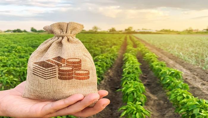 Loans and sustainable agriculture